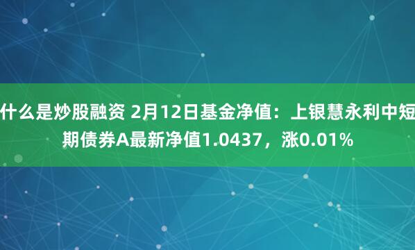 什么是炒股融资 2月12日基金净值：上银慧永利中短期债券A最新净值1.0437，涨0.01%