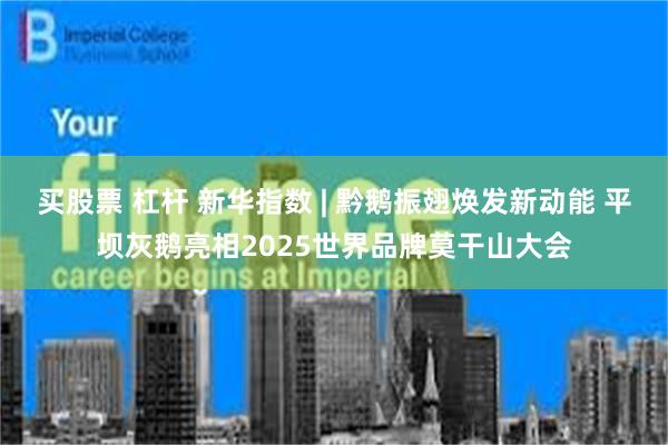 买股票 杠杆 新华指数 | 黔鹅振翅焕发新动能 平坝灰鹅亮相2025世界品牌莫干山大会