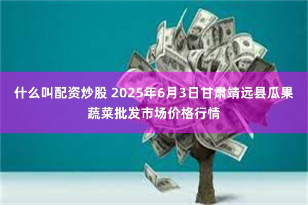 什么叫配资炒股 2025年6月3日甘肃靖远县瓜果蔬菜批发市场价格行情