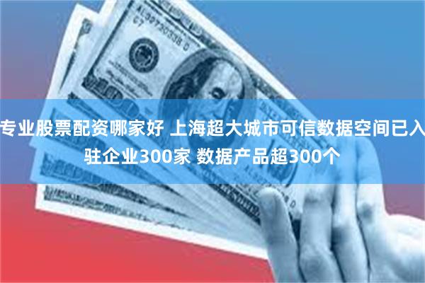 专业股票配资哪家好 上海超大城市可信数据空间已入驻企业300家 数据产品超300个